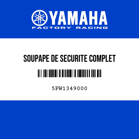 SOUPAPE DE SECURITE COMPLET