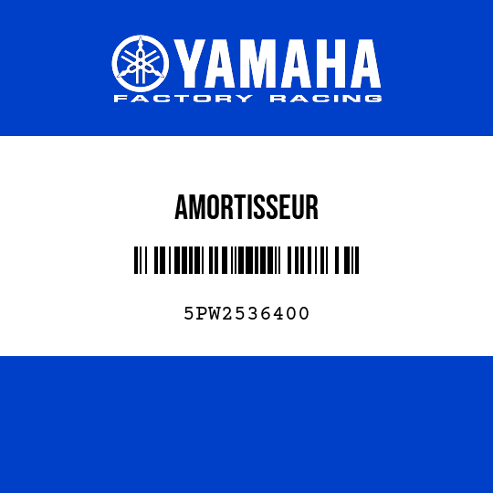 AMORTISSEUR