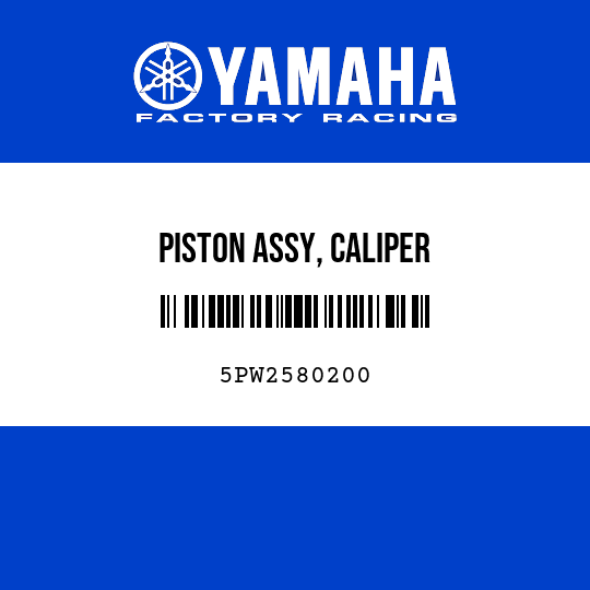 PISTON ASSY, CALIPER