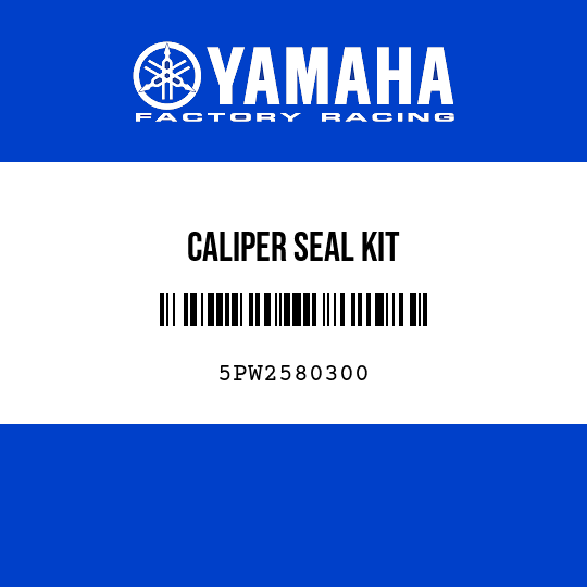 CALIPER SEAL KIT