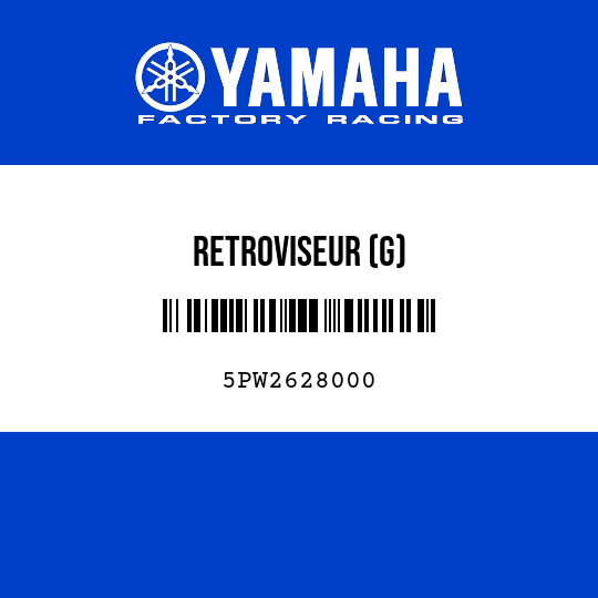 RETROVISEUR (G)
