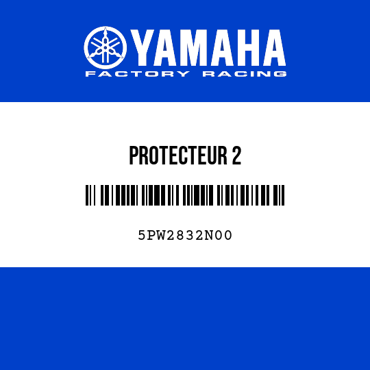PROTECTEUR 2