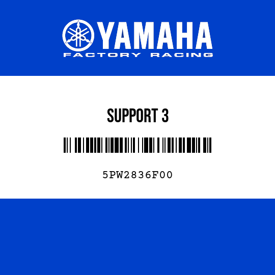SUPPORT 3