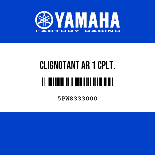 CLIGNOTANT AR 1 CPLT.