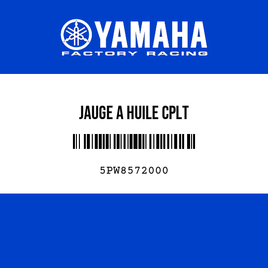 JAUGE A HUILE CPLT
