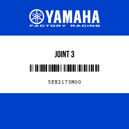 JOINT 3