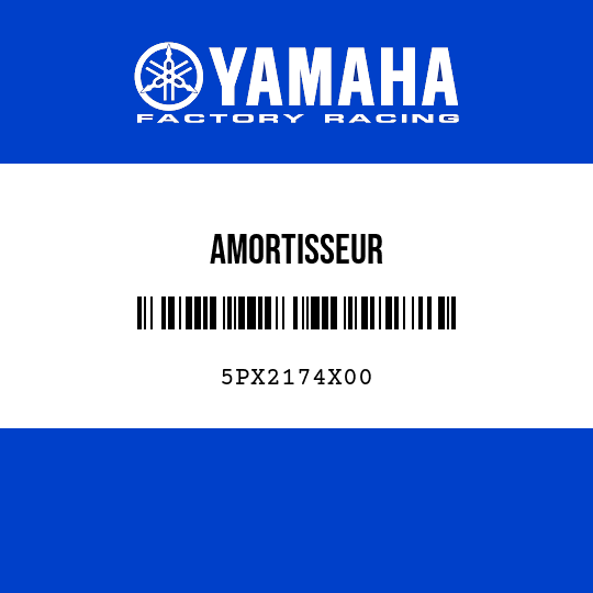 AMORTISSEUR