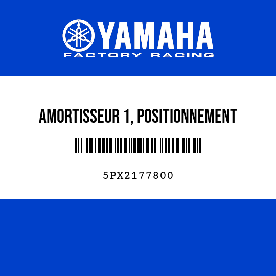 AMORTISSEUR 1, POSITIONNEMENT