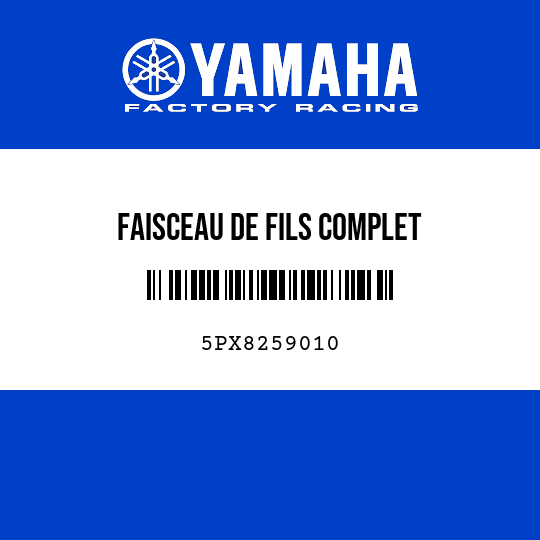 FAISCEAU DE FILS COMPLET