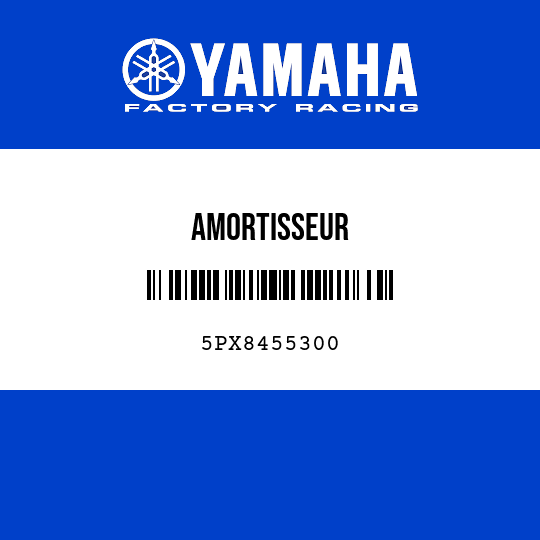 AMORTISSEUR