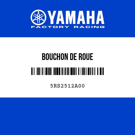 BOUCHON DE ROUE