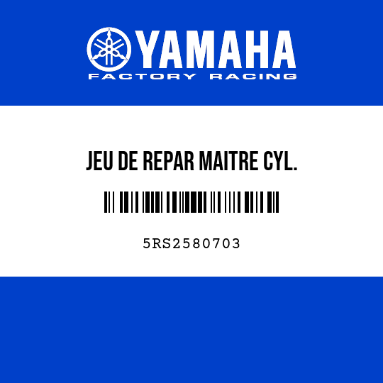 JEU DE REPAR MAITRE CYL.