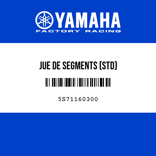 JUE DE SEGMENTS (STD)