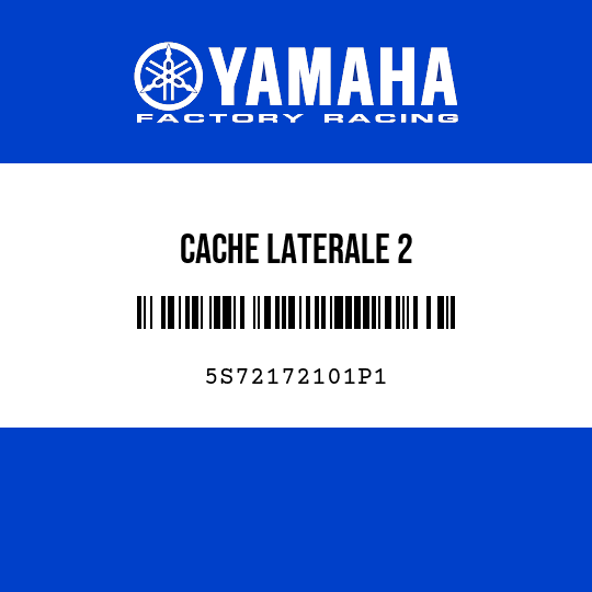 CACHE LATERALE 2