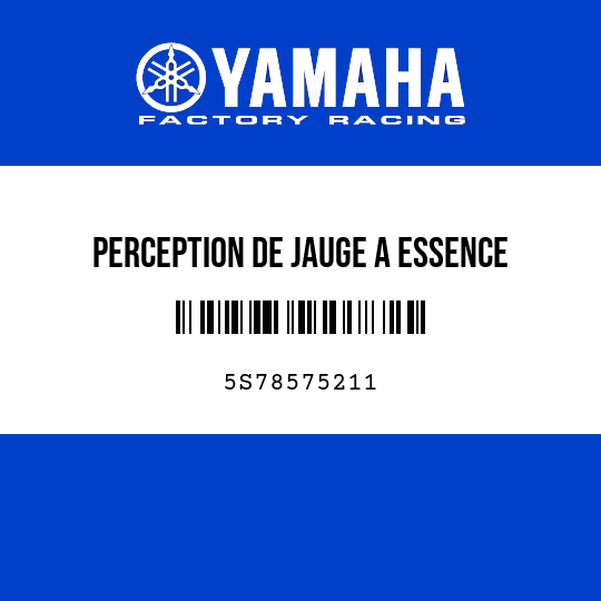 PERCEPTION DE JAUGE A ESSENCE