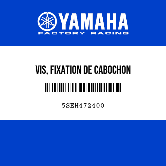 VIS, FIXATION DE CABOCHON