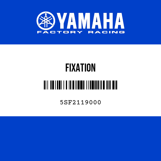 FIXATION