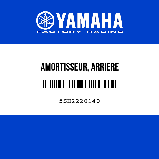 AMORTISSEUR, ARRIERE