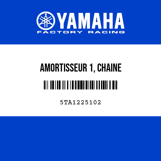 AMORTISSEUR 1, CHAINE