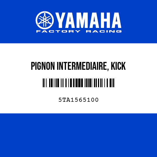 PIGNON INTERMEDIAIRE, KICK
