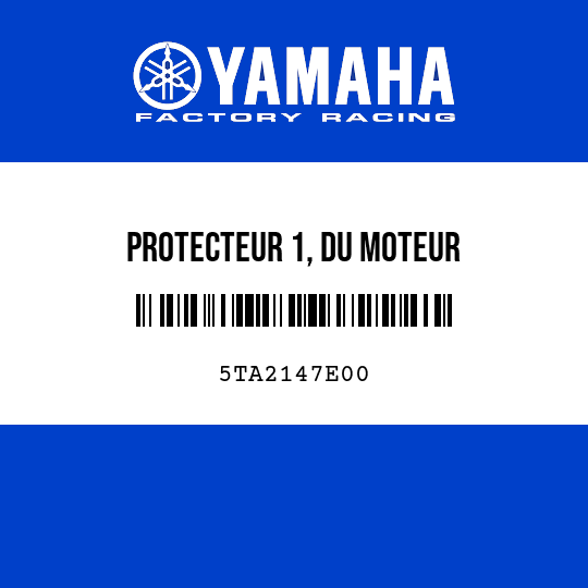 PROTECTEUR 1, DU MOTEUR