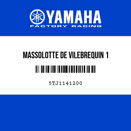 MASSOLOTTE DE VILEBREQUIN 1