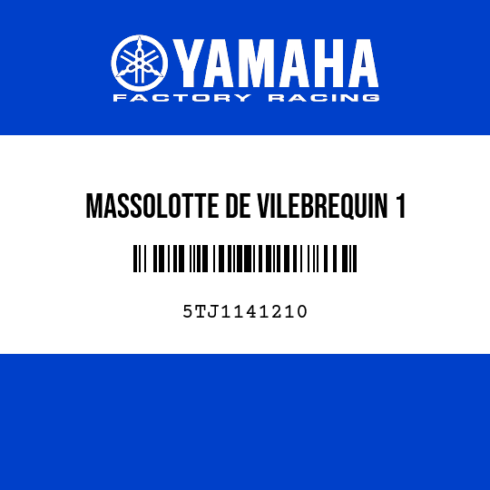 MASSOLOTTE DE VILEBREQUIN 1