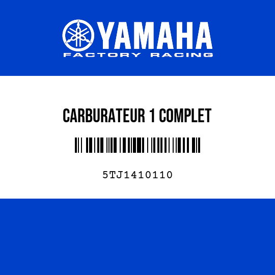 CARBURATEUR 1 COMPLET