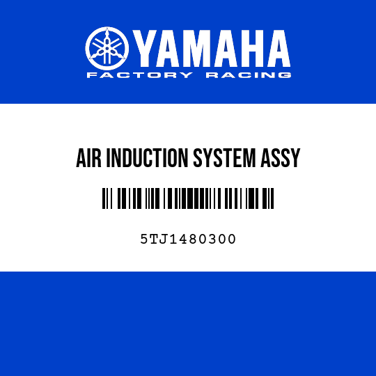 AIR INDUCTION SYSTEM ASSY