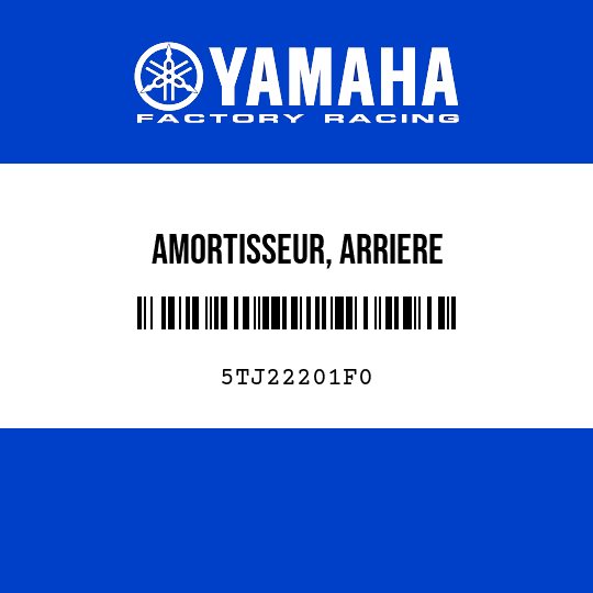AMORTISSEUR, ARRIERE