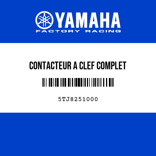 CONTACTEUR A CLEF COMPLET