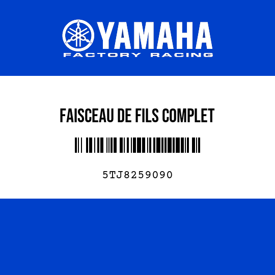 FAISCEAU DE FILS COMPLET