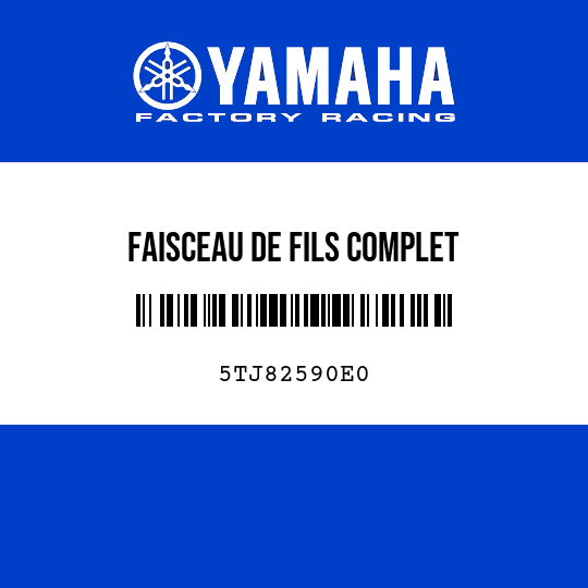 FAISCEAU DE FILS COMPLET