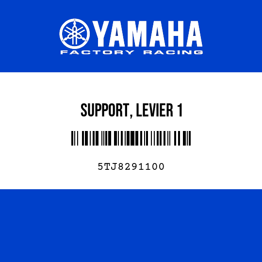 SUPPORT, LEVIER 1