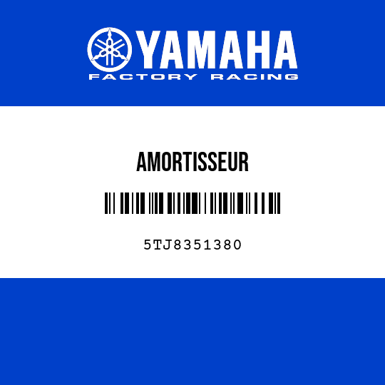 AMORTISSEUR