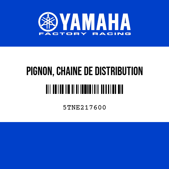 PIGNON, CHAINE DE DISTRIBUTION