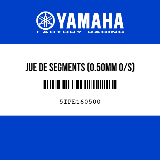 JUE DE SEGMENTS (0.50MM O/S)