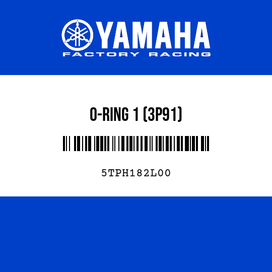 O-RING 1 (3P91)