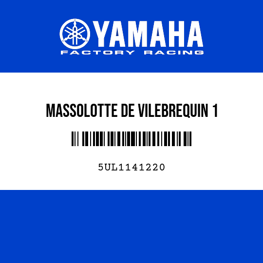 MASSOLOTTE DE VILEBREQUIN 1