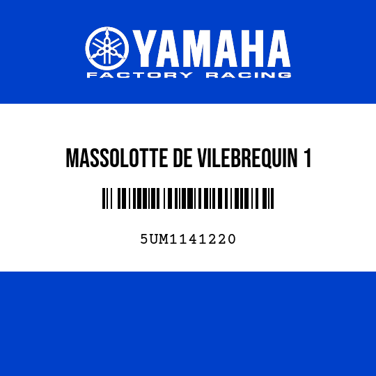 MASSOLOTTE DE VILEBREQUIN 1