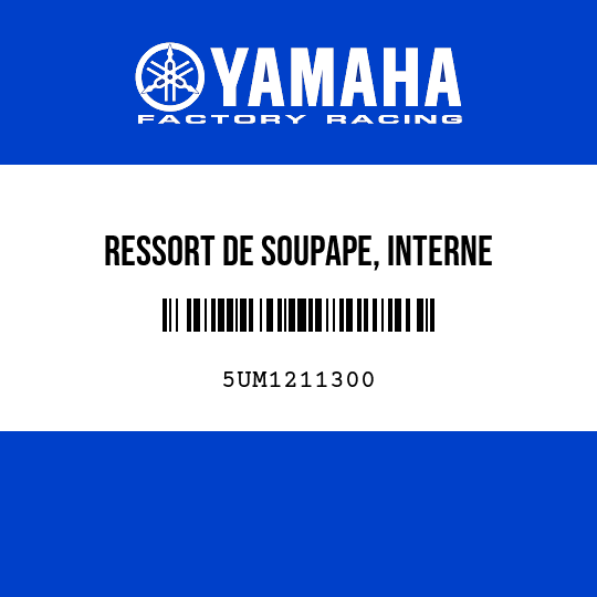 RESSORT DE SOUPAPE, INTERNE