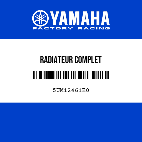 RADIATEUR COMPLET