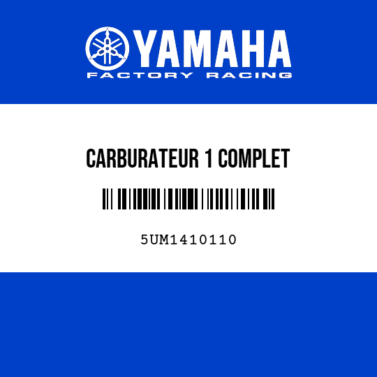 CARBURATEUR 1 COMPLET