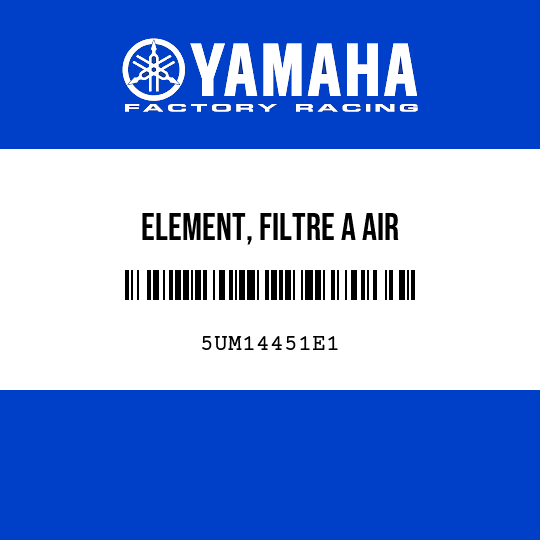 ELEMENT, FILTRE A AIR