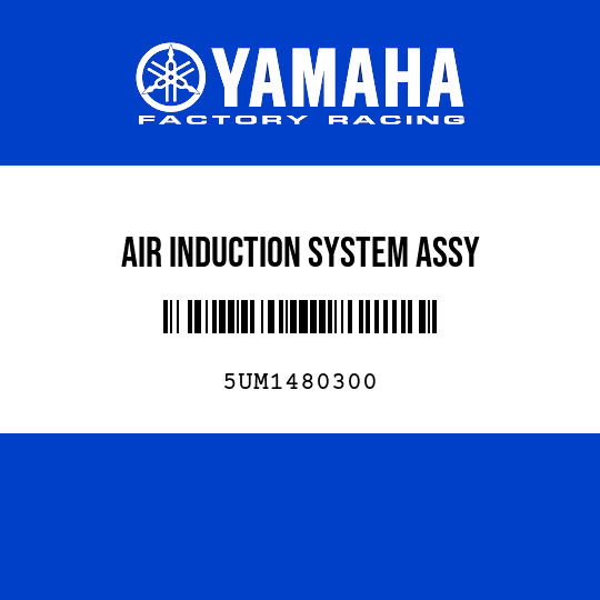 AIR INDUCTION SYSTEM ASSY