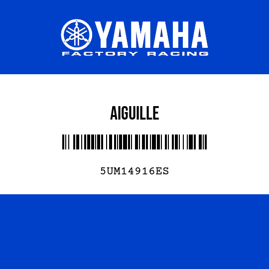 AIGUILLE