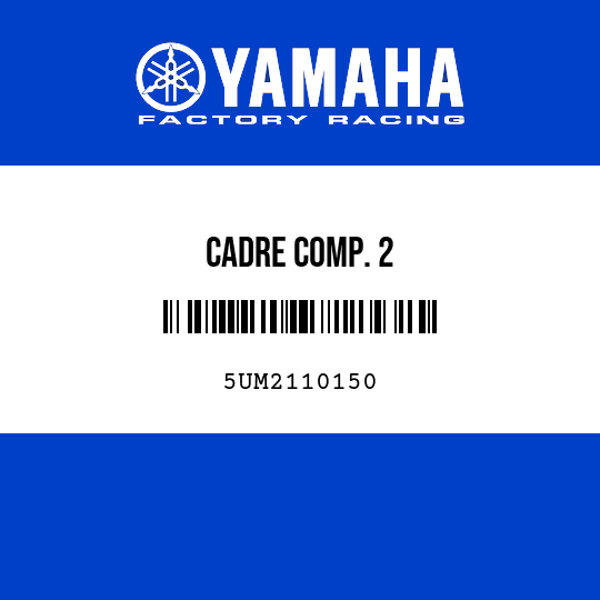 CADRE COMP. 2