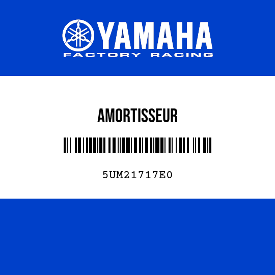 AMORTISSEUR