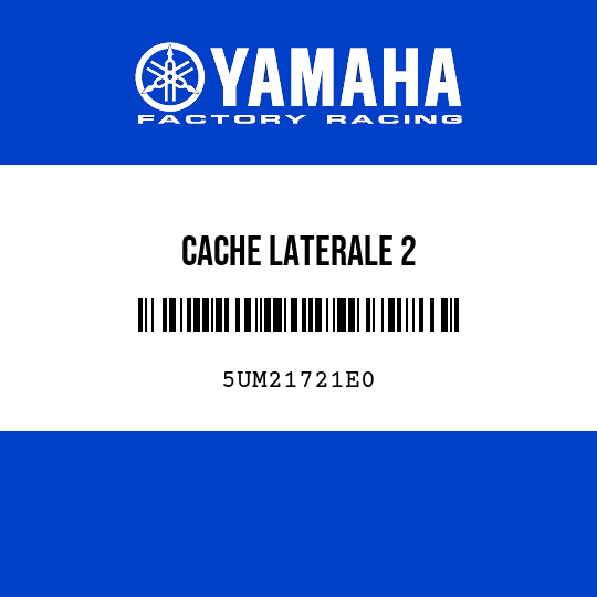 CACHE LATERALE 2