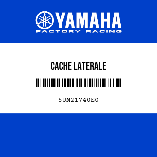 CACHE LATERALE